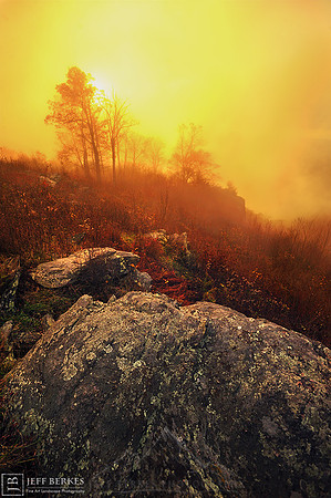 FIRE MOUNTAIN