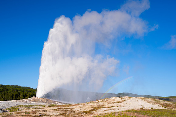 OLD FAITHFUL SPRAYBOW