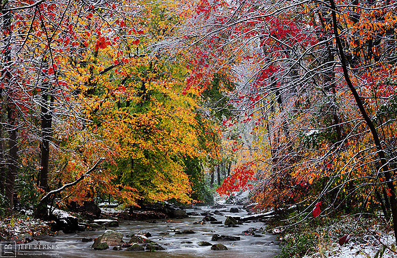 ENTERING WINTER
