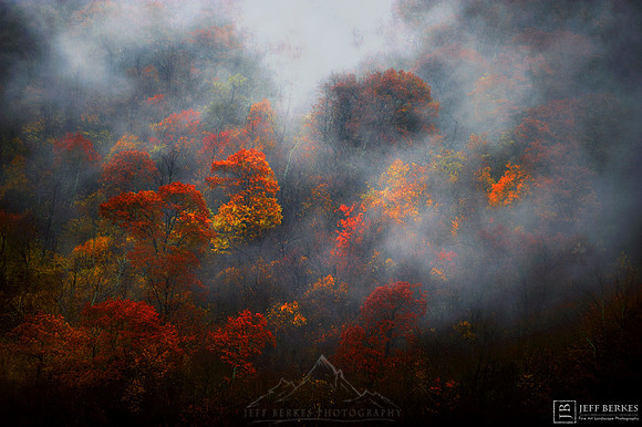 SHENANDOAH NATIONAL PARK