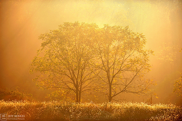 FIRST LIGHT