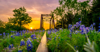 TEXAS HILL COUNTRY