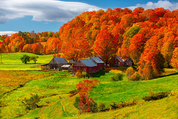 JENNE FARM | VERMONT 2022