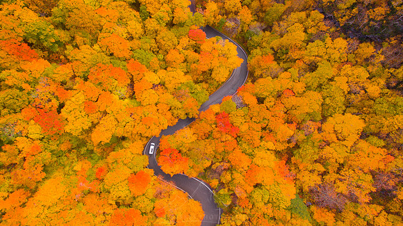 VERMONT ROADS IN AUTUMN