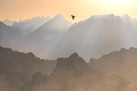 SOARING RAVEN | ALABAMA HILLS, CALIFORNIA