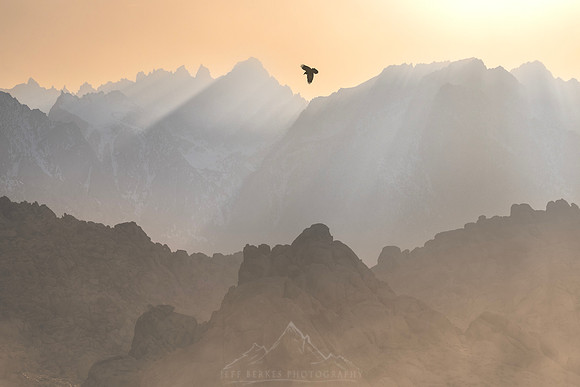 SOARING RAVEN | ALABAMA HILLS, CALIFORNIA