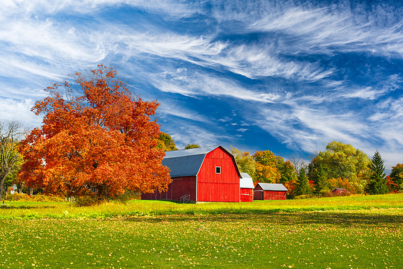 AUTUMN BARN | FINGER LAKES, NY