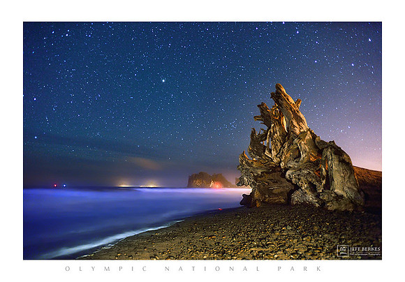 OLYMPIC COAST | WASHINGTON