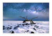JEKYLL ISLAND | GEORGIA