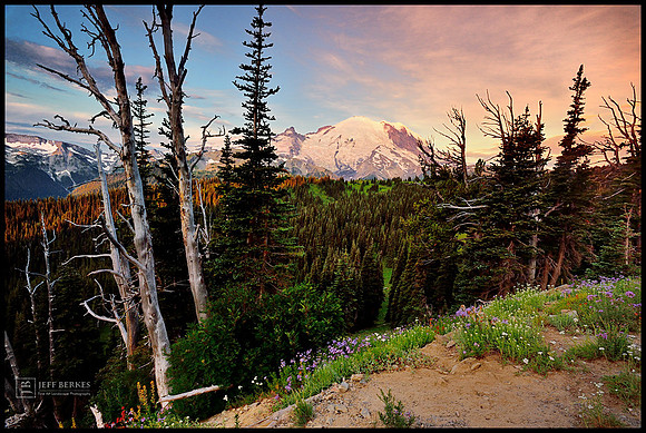 MT. RAINIER