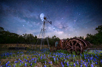 TEXAS NIGHTS