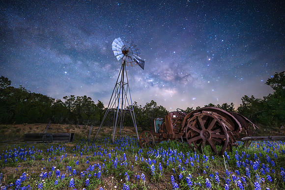 TEXAS NIGHTS
