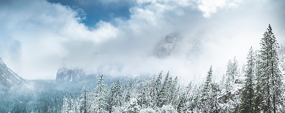 YOSEMITE NATIONAL PARK | CA