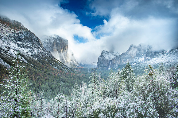 YOSEMITE NATIONAL PARK | CA