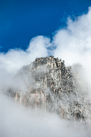 YOSEMITE NATIONAL PARK | CA