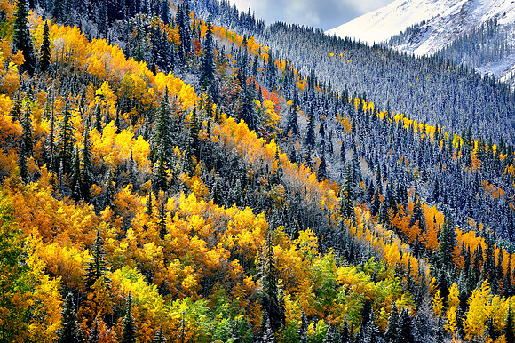 FALL, MEET WINTER | COLORADO 2014