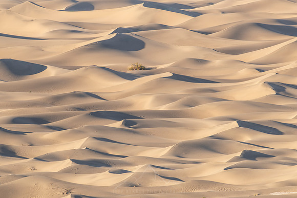 DEATH VALLEY 2025