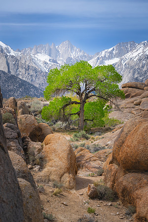 ALABAMA HILLS 2025