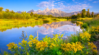 WYOMING