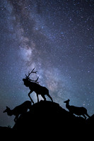 NATURE AND NIGHT