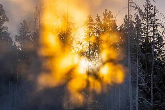 MORNING STEAM | YELLOWSTONE