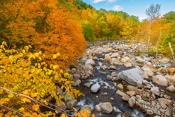 BIG BRANCH IN AUTUMN | VERMONT
