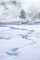 YELLOWSTONE IN WINTER