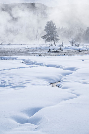 YELLOWSTONE IN WINTER