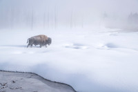 TITAN OF THE TUNDRA