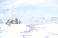 UPPER GEYSER BASIN