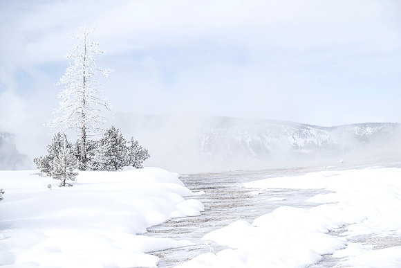UPPER GEYSER BASIN