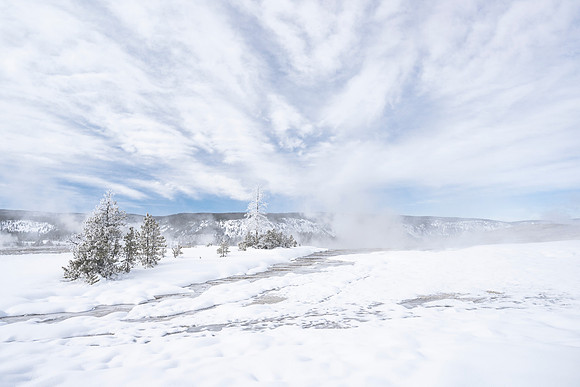 UPPER GEYSER BASIN II