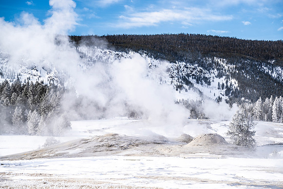 YELLOWSTONE IN WINTER