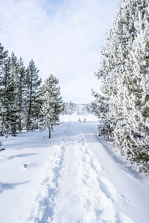 WALKING THE THERMALS