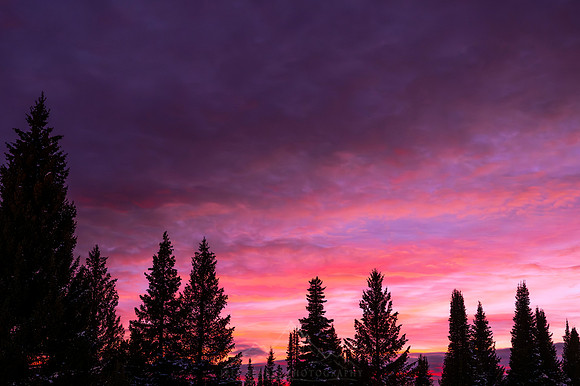 YELLOWSTONE IN WINTER