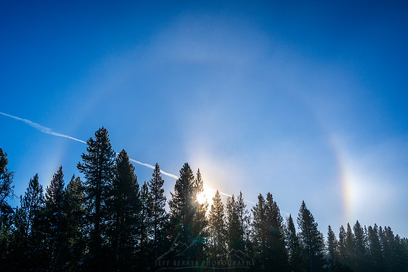 YELLOWSTONE IN WINTER