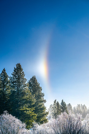 ARC OF WINTER