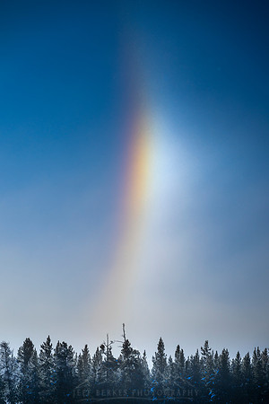 ARC OF WINTER II