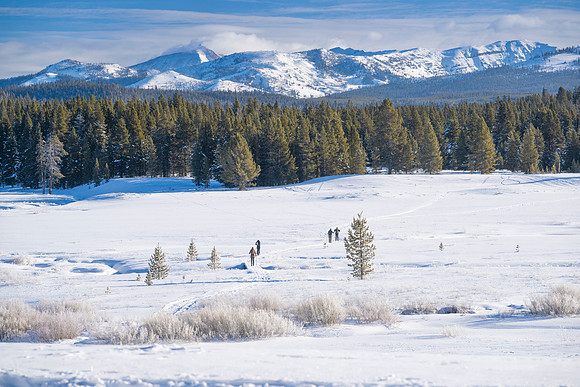 YELLOWSTONE IN WINTER