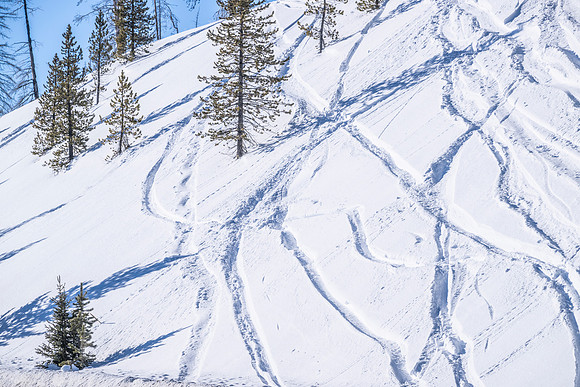 YELLOWSTONE IN WINTER
