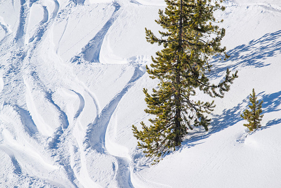 YELLOWSTONE IN WINTER