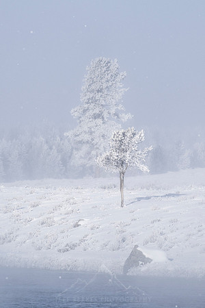 YELLOWSTONE IN WINTER