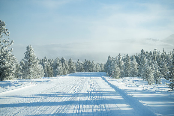 YELLOWSTONE IN WINTER