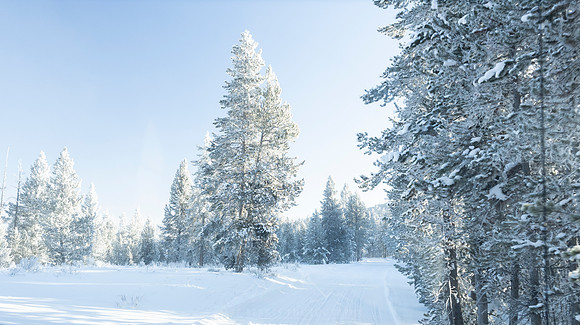 YELLOWSTONE IN WINTER