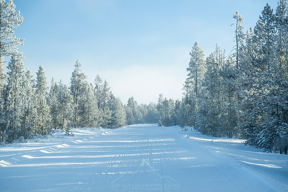 YELLOWSTONE IN WINTER