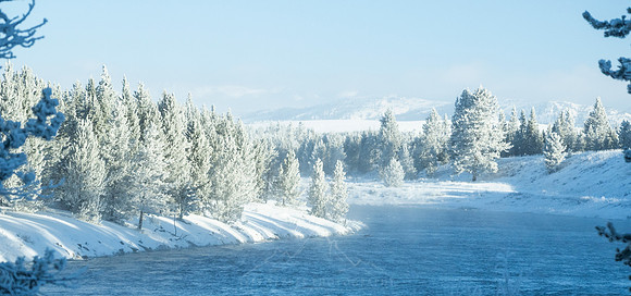YELLOWSTONE IN WINTER
