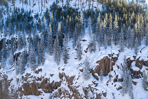 YELLOWSTONE IN WINTER