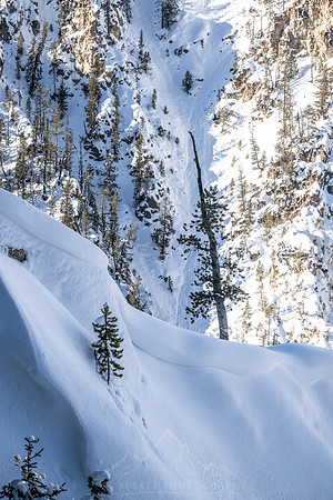 YELLOWSTONE IN WINTER