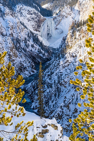 YELLOWSTONE IN WINTER