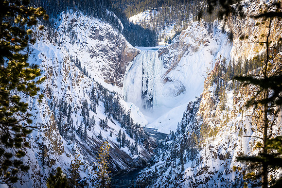 YELLOWSTONE IN WINTER
